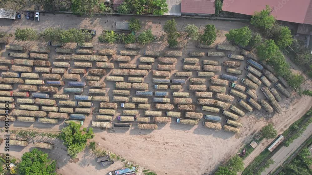 Group of sugarcane harvested truck parked queue to send the agricultural produce in industry processing plant area Group of sugarcane harvested truck parked queue to send the agricultural produce in industry processing plant area