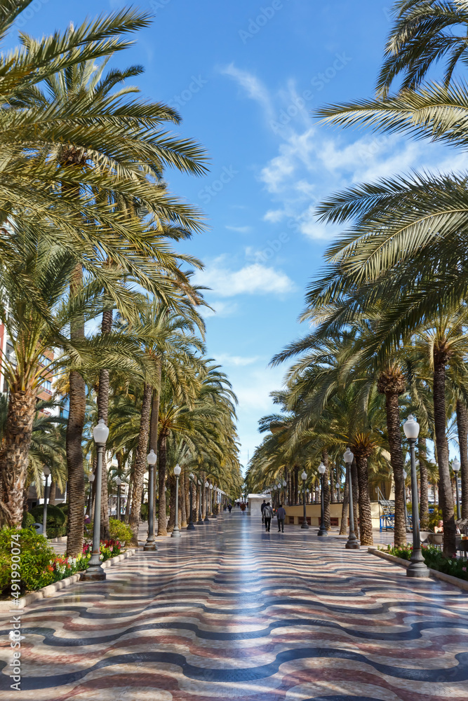 Alicante Alacant town city boulevard Esplanada d'Espanya with palms travel traveling holidays vacation portrait format in Spain