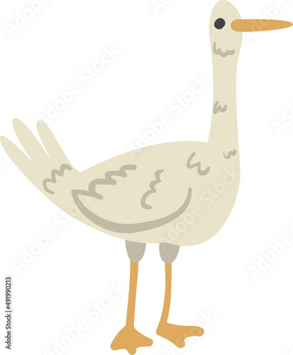 Goose Waterfowl Bird Species as Farm Animal and Domestic Livestock Breeding