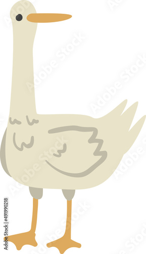 Goose Waterfowl Bird Species as Farm Animal and Domestic Livestock Breeding