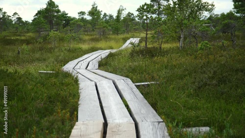 wooden walkway in the bogs of kemery park photo