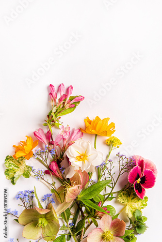 spring flowers on the white background