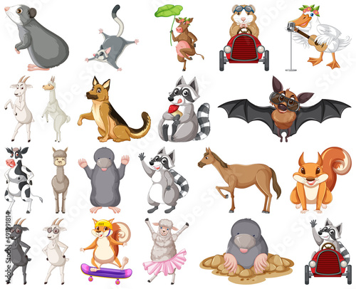 Set of animal cartoon character