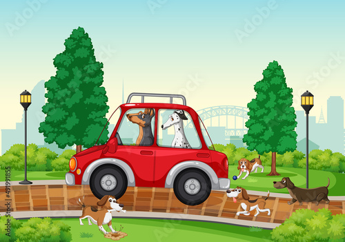 Dogs driving and running in the park