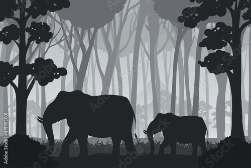 Silhouette shadow of forest scene