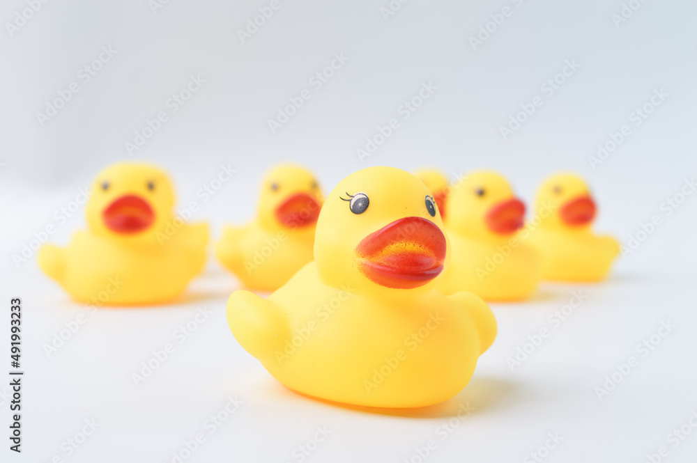 Toy duck leader and office workers standing together Toy duck leader and office workers standing together