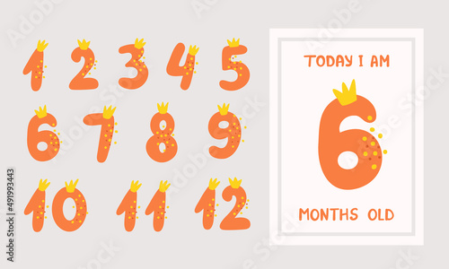 Baby cards with numbers for newborn girl or boy, 1-12 months. Baby month anniversary card. Nursery print. Vector Illustration for backgrounds, covers, packaging, greeting cards and posters.