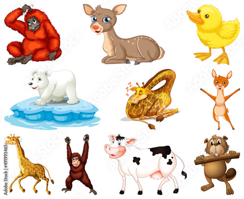 Set of animal cartoon character