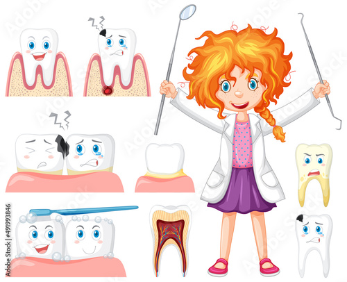 Set of all types of teeth on white background