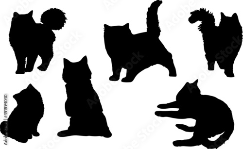 Norwegian Forest Cat Silhouette Bundle SVG
