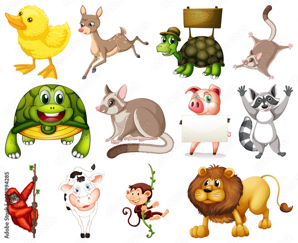 Set of animal cartoon character Set of animal cartoon character