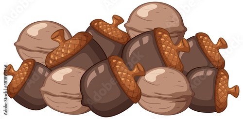 Many acorns and walnuts cartoon style on white background