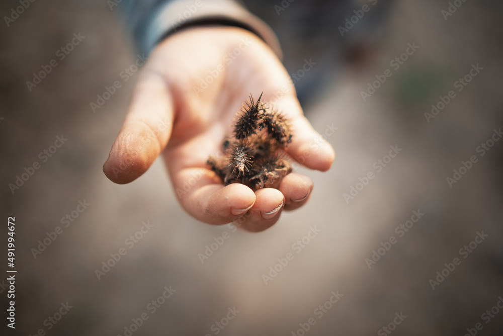 hand holding soil