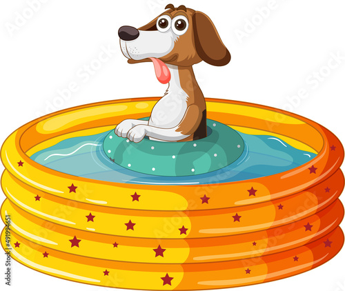 Cute puppy dog  in rubber swimming pool