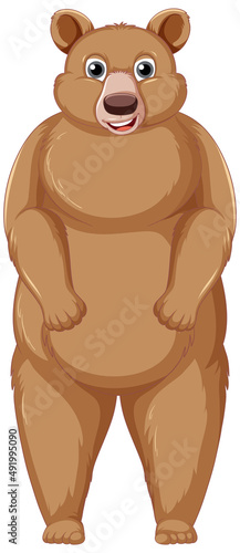 A big brown bear on white background