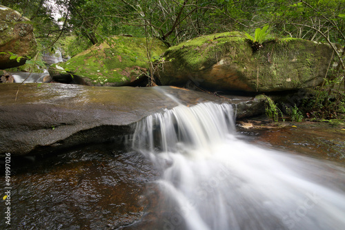 Fototapeta Naklejka Na Ścianę i Meble -  cascades and a waterfall flowing in the forest