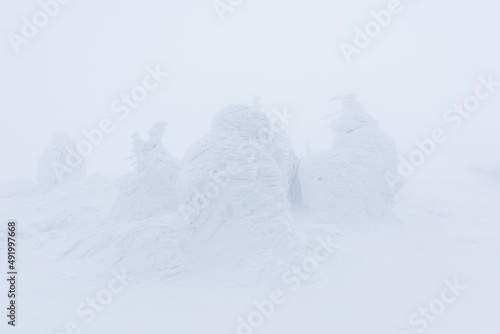 日本　ホワイトアウト山形蔵王山頂付近の樹氷 © masahiro