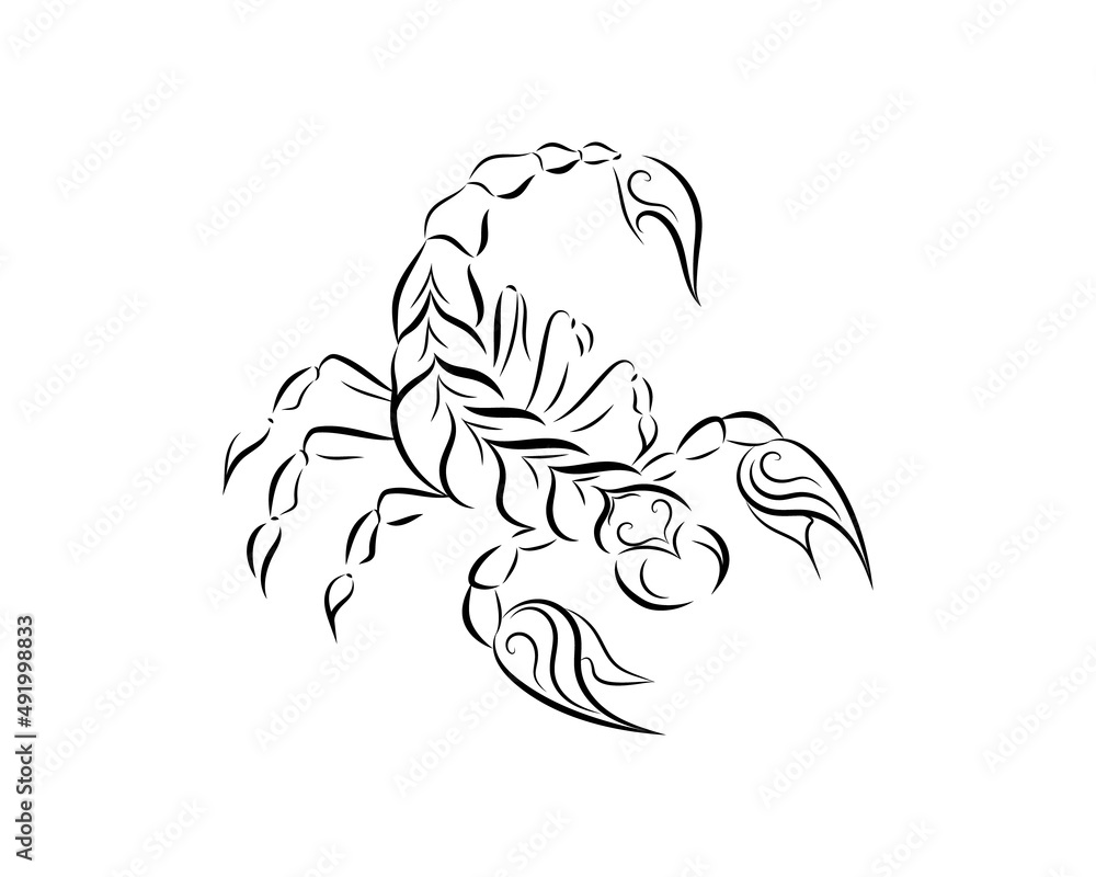 Scorpio animal insect zodiac sign,tattoo silhouette,logo design.Vector