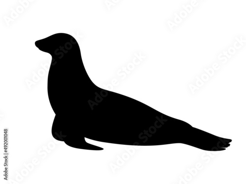 Silhouette of a sea lion