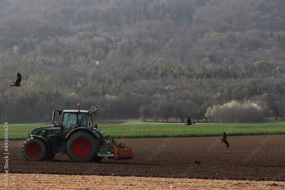 Obraz premium Tracteur