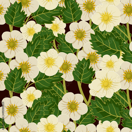 Vector seamless pattern with strawberry flowers. Gardening and spring illustration for background, textile, poster, scrapbooking, set of stickers, greeting cards, party invitations, tags.