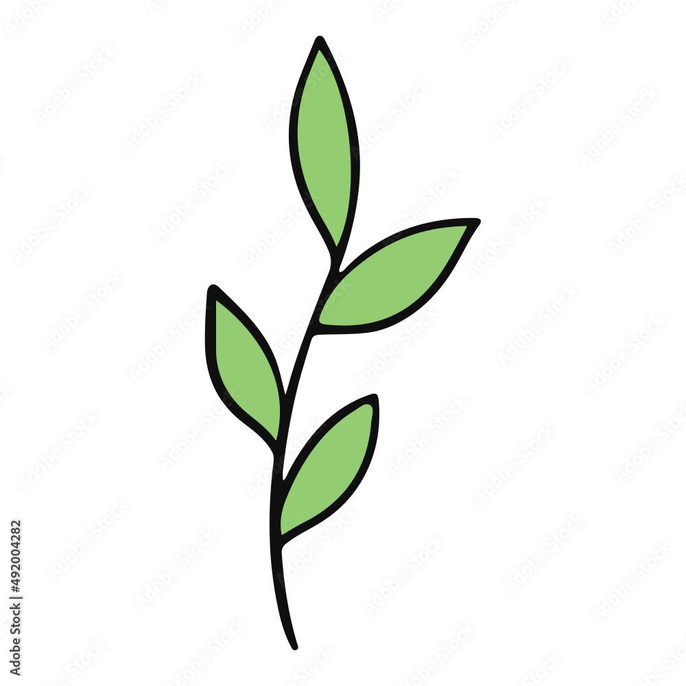 leaf hand drawn and Spring flat color design leaf hand drawn and Spring flat color design