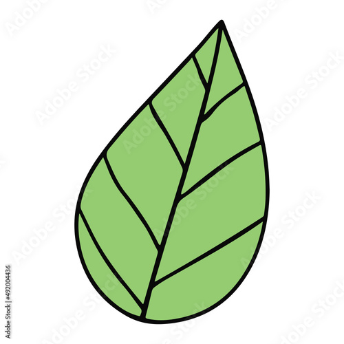 leaf hand drawn and Spring flat color design