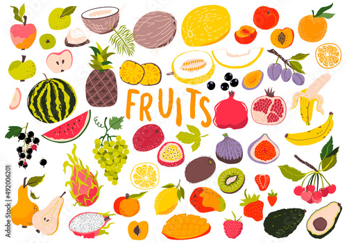 Fototapeta Naklejka Na Ścianę i Meble -  Fruits and berries set. Tropical. Sliced pieces. Organic and vegetarian food. Doodle Vector illustration