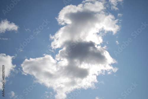 White cumulus clouds float across the sky. On a sunny summer day, snow-white fluffy cumulus clouds float across the blue sky. Clouds of various shapes and sizes are slightly gray below.