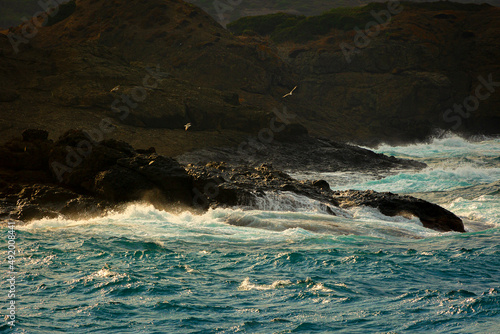 Fototapeta Naklejka Na Ścianę i Meble -  large rocks on the sea shore and large waves washed ashore