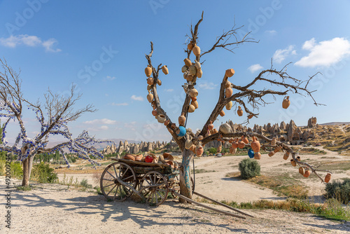 goreme/turkey.21august 2020.Volcanic mountains and wish tree in Cappadocia Göreme National Park photo