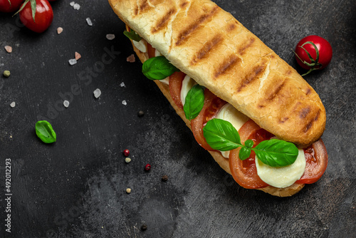 Pressed and toasted panini caprese with tomato, mozzarella and basil, Caprese Panini Sandwich. Delicious breakfast or snack, Clean eating, dieting, vegan food concept. top view photo