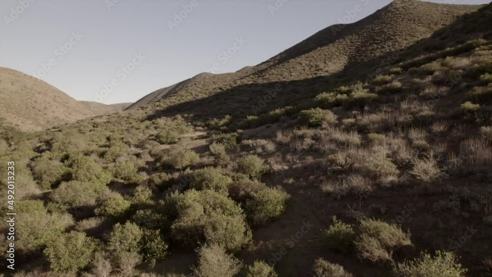 Moving Aerial View Over Hills and Brush with Mountains Southern California Moving Aerial View Over Hills and Brush with Mountains Southern California