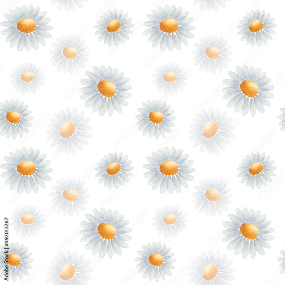 Watercolor seamless pattern from hand painted illustration of camomile flower, blue, yellow daisies in bloom. Floral nature print on white background for spring, summer fabric textile, weddings