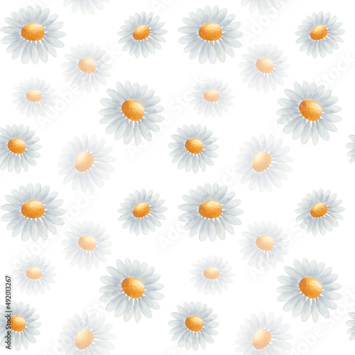 Watercolor seamless pattern from hand painted illustration of camomile flower, blue, yellow daisies in bloom. Floral nature print on white background for spring, summer fabric textile, weddings © Olga Sidelnikova