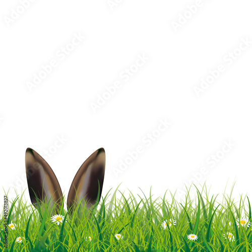 Osterhase im Gras