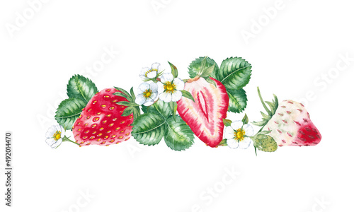 Horizontal border of seasonal garden plant. Srawberries with flowers and leaves. Watercolor hand painted isolated element on white background. photo