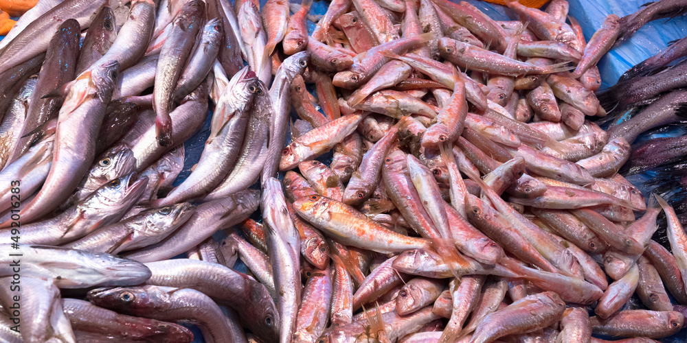 Fresh Fish at Central Food Market, Chiclana de la Frontera, Cádiz, Andalucía, Spain, Europe Fresh Fish at Central Food Market, Chiclana de la Frontera, Cádiz, Andalucía, Spain, Europe