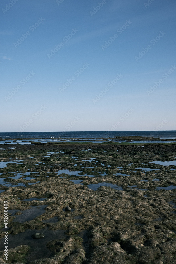 Beautiful scenery of Jeju Island, South Korea