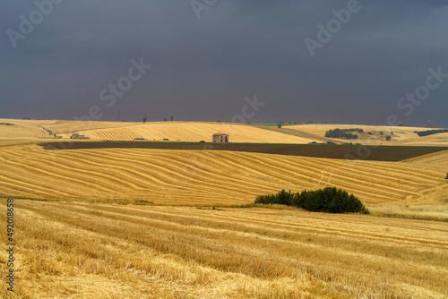 Country landscape in Basilicata, Italy, at summer