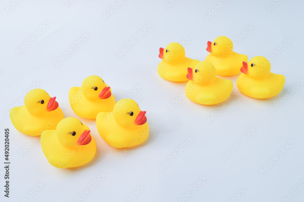 Toy ducks heading with different directions. Business innovation, unique and think different concept. Toy ducks heading with different directions. Business innovation, unique and think different concept.