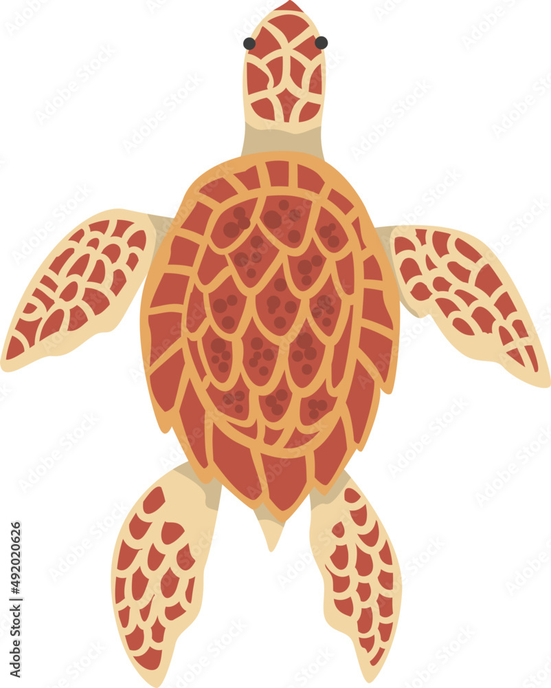 Sea Turtle with Fins and Hard Shell as Underwater Oceanic Mammal ...