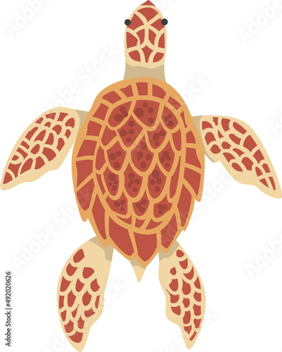 Foto Sea Turtle with Fins and Hard Shell as Underwater Oceanic Mammal Species