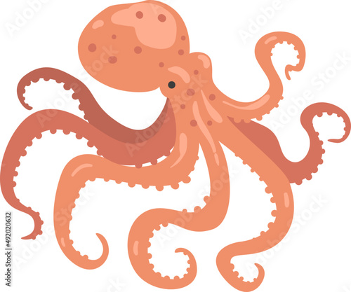 Octopus as Soft-bodied, Eight-limbed Mollusc and Underwater Oceanic Mammal Species