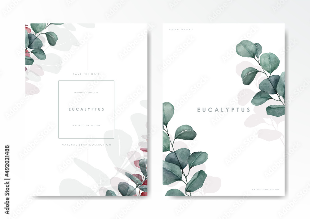 Watercolor eucalyptus background template vector design set