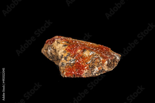 Macro mineral stone Vanadinite on a black background