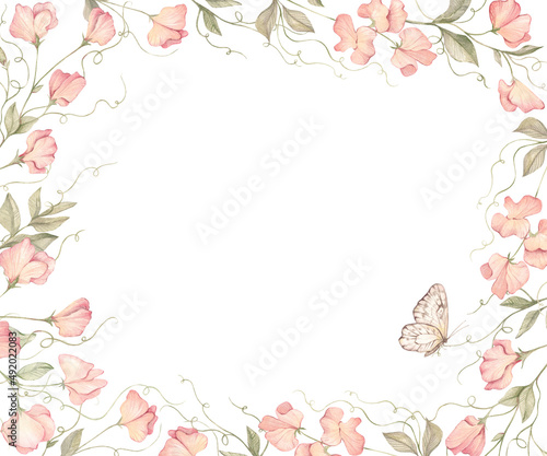 watercolor floral frame spring pink flowers  sweet peas and butterfly