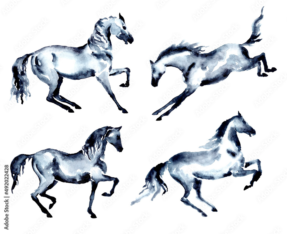 Set of horse. Trotting, rearing up, kicking, piaffe, passage motion. Watercolor or ink hand painting stallion. Beautiful hand drawing equestrian silhouette on white. Equine art artistic brush stroke Set of horse. Trotting, rearing up, kicking, piaffe, passage motion. Watercolor or ink hand painting stallion. Beautiful hand drawing equestrian silhouette on white. Equine art artistic brush stroke