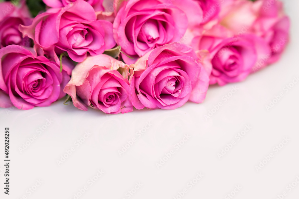 Bouquet of pink roses on white background. Flower background. Mothers Day, Wedding and Birthday concept. Bouquet of pink roses on white background. Flower background. Mothers Day, Wedding and Birthday concept.