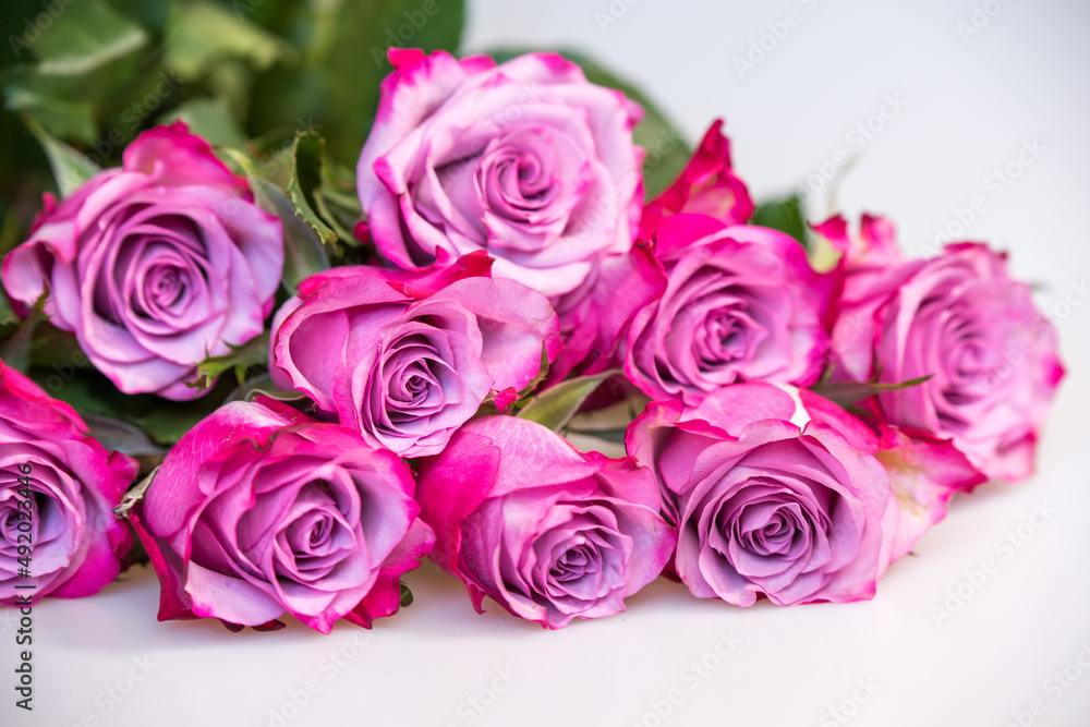 Bouquet of purple roses on white background. Flower background. Mothers Day, Wedding and Birthday concept. Bouquet of purple roses on white background. Flower background. Mothers Day, Wedding and Birthday concept.